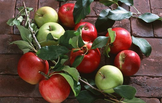 Как сохранить яблоки зимой