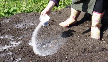 Удобрения подбирают в зависимости от кислотности почвы