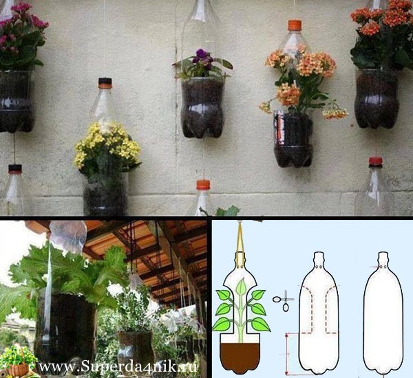 Как посадить цветы в бутылках