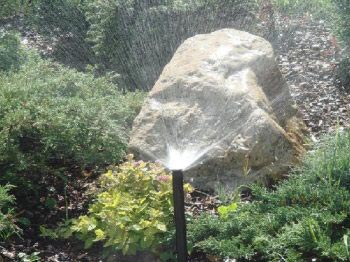 Чтобы равномерно обеспечить растения влагой, применяйте дождевальный полив
