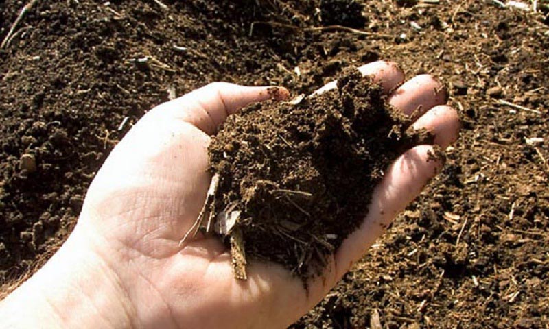 Почва для посадки культур