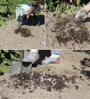 Процедура внесения удобрений в глинистую почву