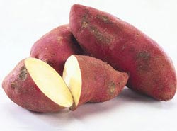 Сладкий картофель — батат