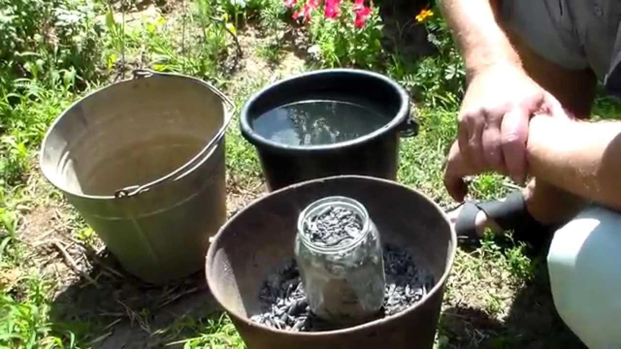 Удобрение огурцов в открытом грунте с помощью золы