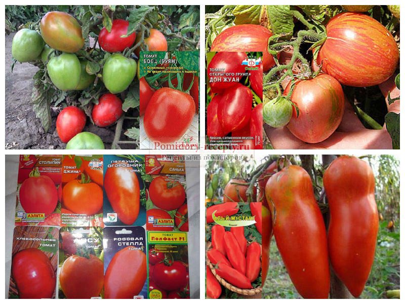 Существует множество различных сортов томатов, который из них выбрать – зависит, в первую очередь, от ваших запросов и условий для их выращивания