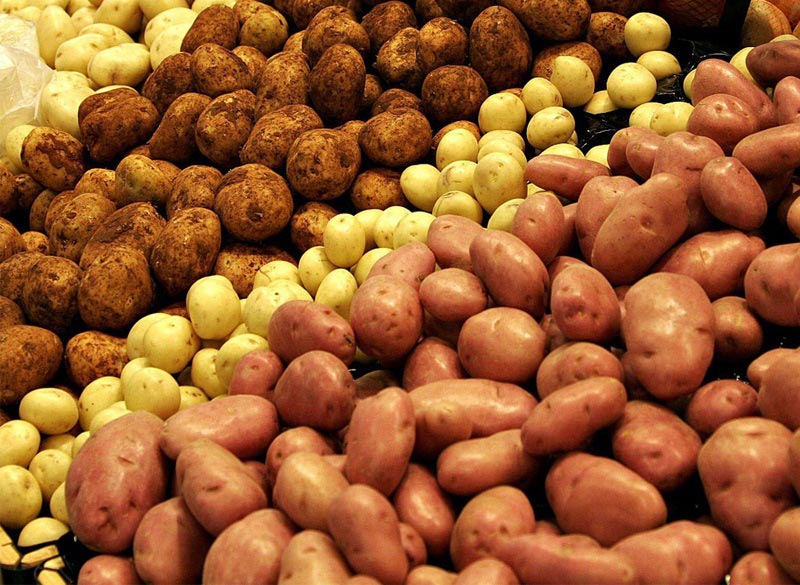 Существует множество различных сортов картофеля, и какой из них выбрать, зависит только от ваших возможностей и предпочтений