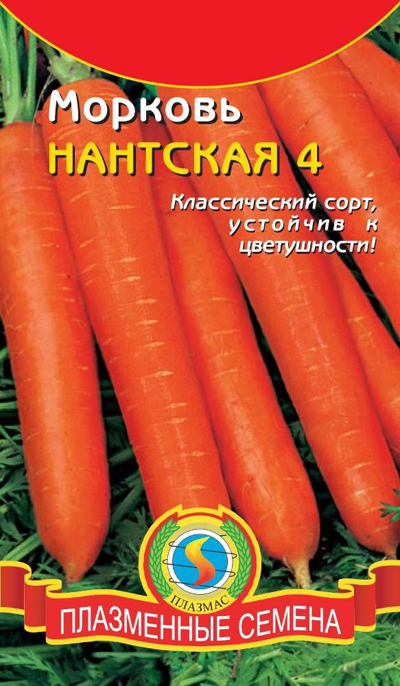 Обзор сорта моркови Нантская 4 для любого климата